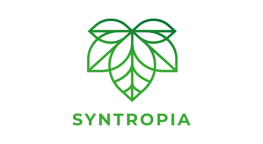 Syntropia