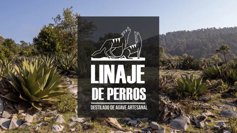 Logotipo Linaje de Perros Mezcal